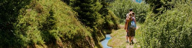 Randonnée le long du bisse du Levron.