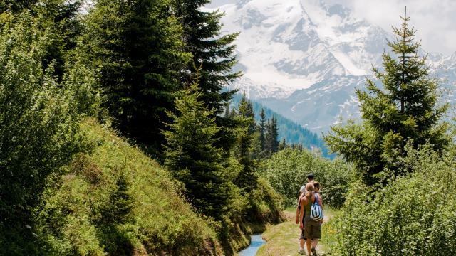 Wanderung entlang der Bisse du Levron.