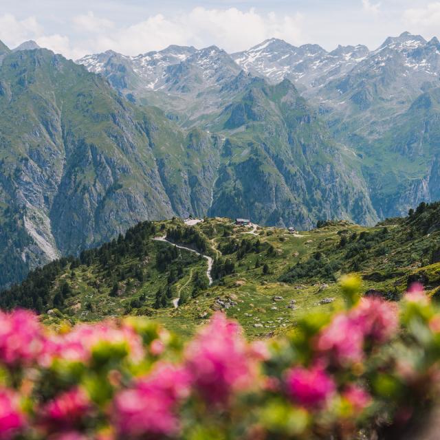 Tous les itinéraires de la région de Verbier