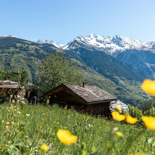 Blick auf die Mayens de Bruson