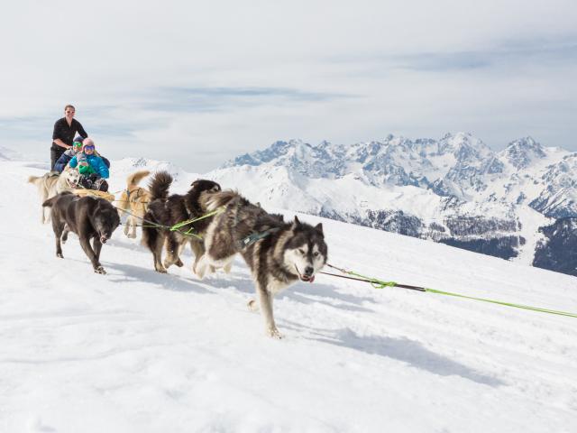 Dog sledding