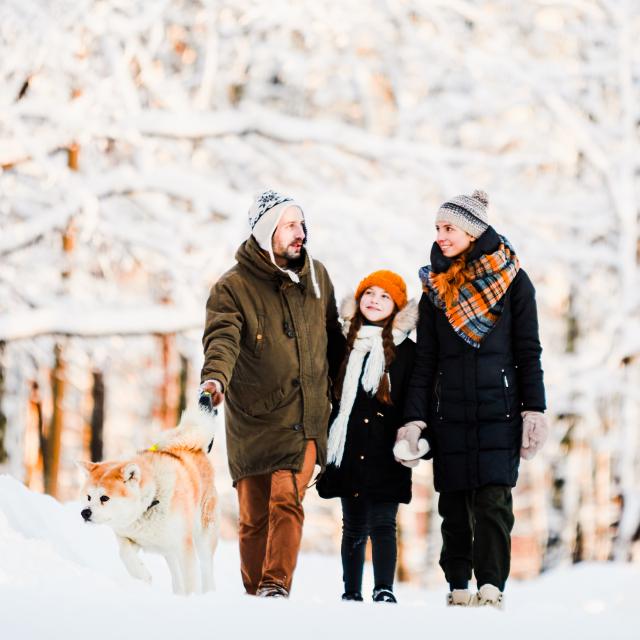 Balade en famille dans la neige