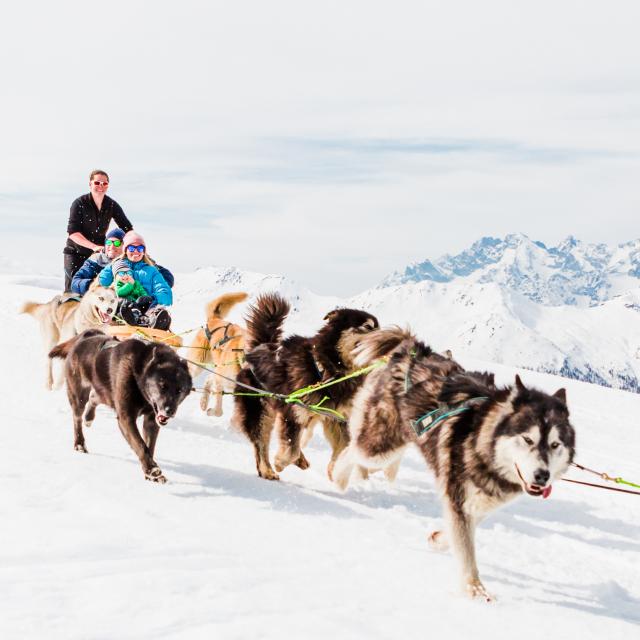 Chien de traineau en famille en hiver à Verbier