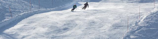 Ski de piste à Bruson