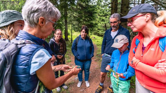 VISITE DE LA MINE DU MONT -CHEMIN ET DÉGUSTATION DE FROMAGES D'ALPAGE 