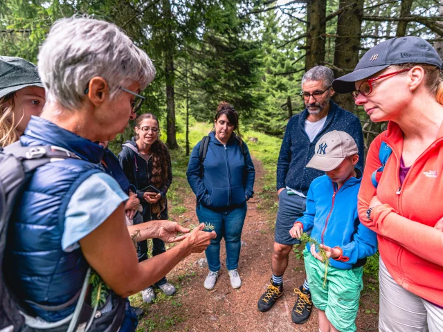 VISITE DE LA MINE DU MONT -CHEMIN ET DÉGUSTATION DE FROMAGES D'ALPAGE 