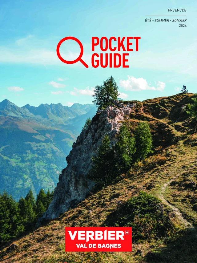 Pocketguideverbier24 Page 001